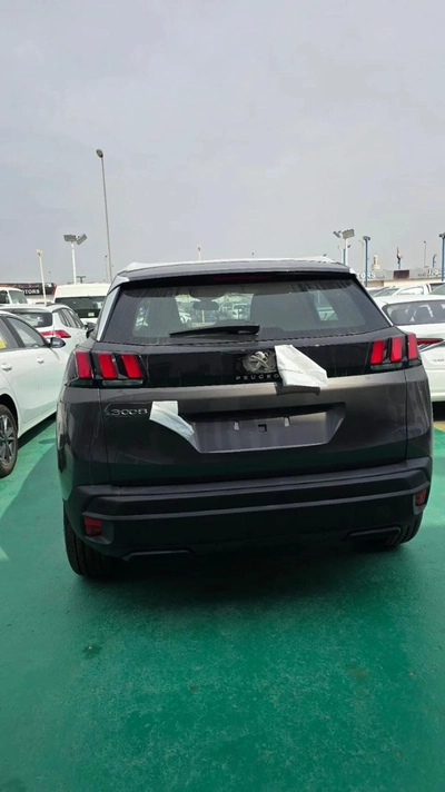 Peugeot 3008 ACTIVEPACK-6