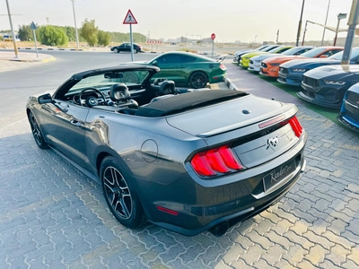 2018 Ford Mustang Ecoboost Convertible - # 67493-6
