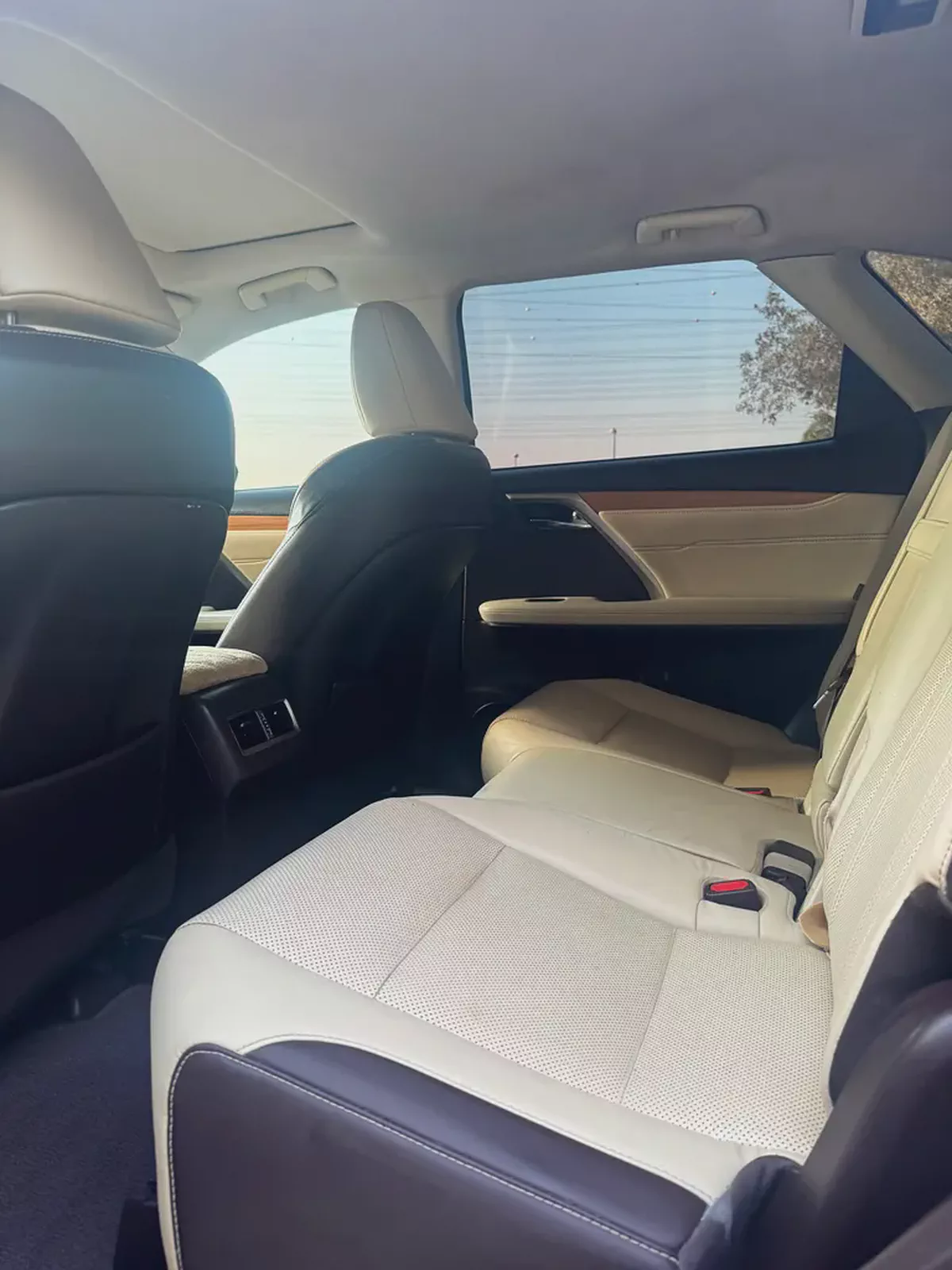 2019 Lexus RX 350 Premier | American Specs | Pristine Condition-13-13