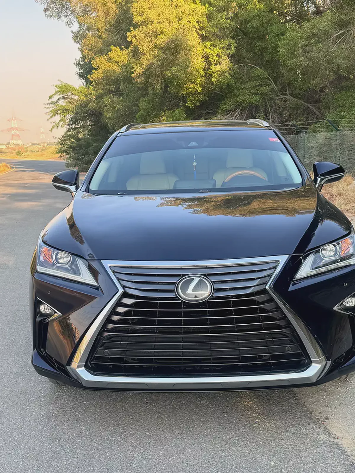 2019 Lexus RX 350 Premier | American Specs | Pristine Condition-1-1