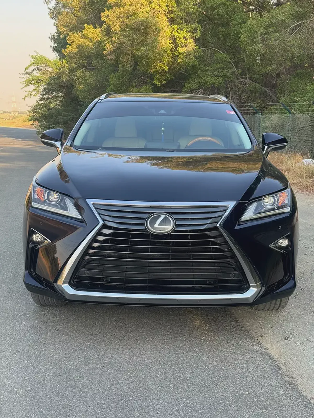 2019 Lexus RX 350 Premier | American Specs | Pristine Condition-4-4
