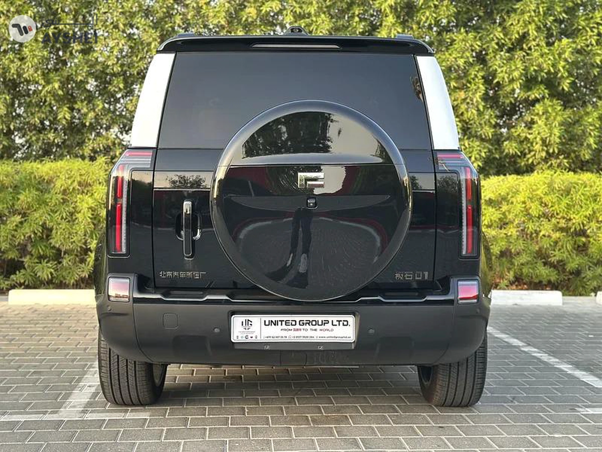 ROX 01 VIP 6 Seaters-1-1