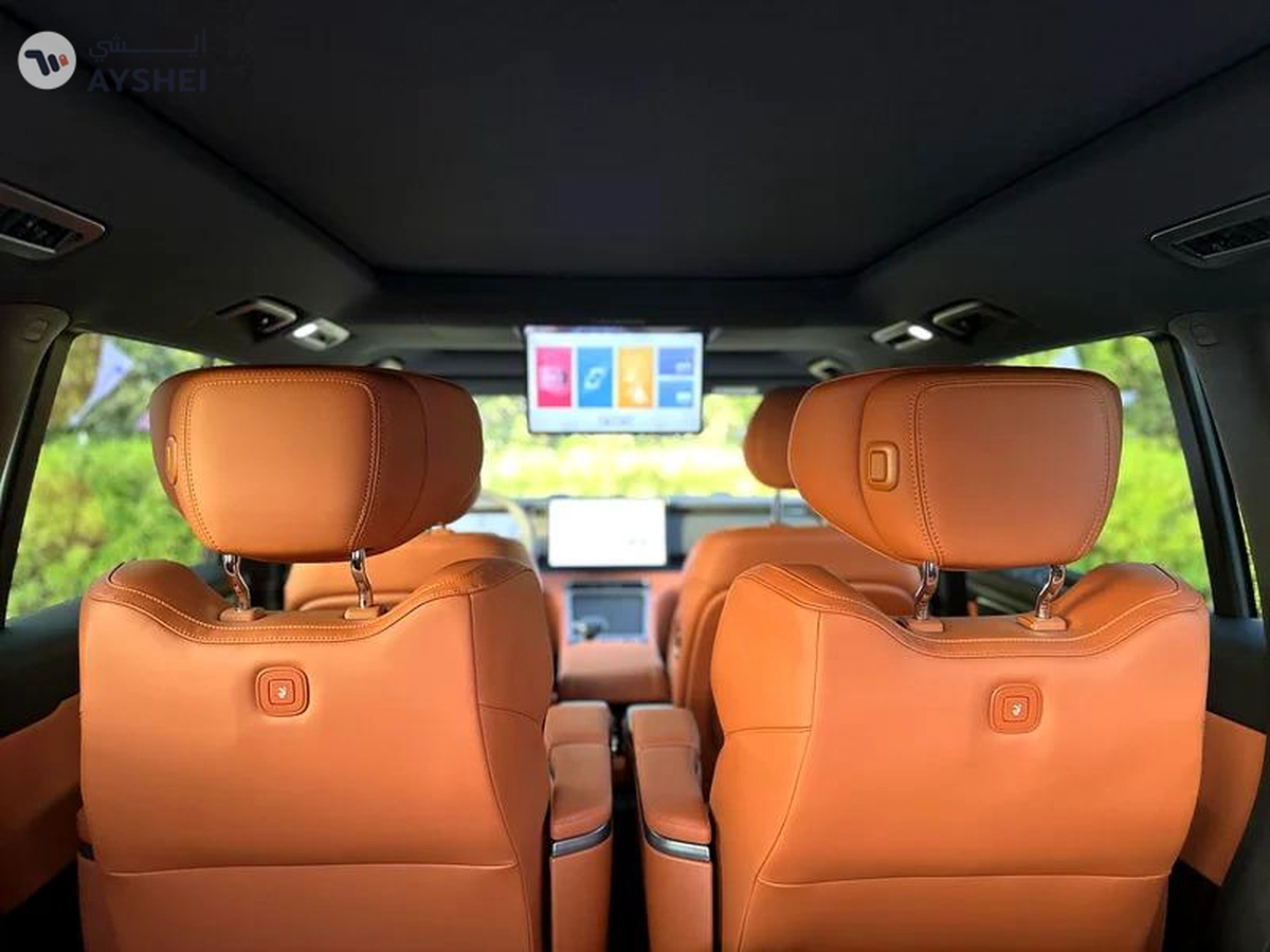 ROX 01 VIP 6 Seaters-3-3