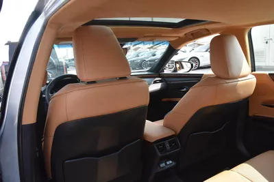 LEXUS ES350 PREMIUM 2023 | GOLD-12