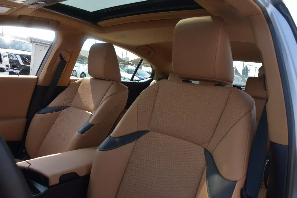LEXUS ES350 PREMIUM 2023 | GOLD-3-3