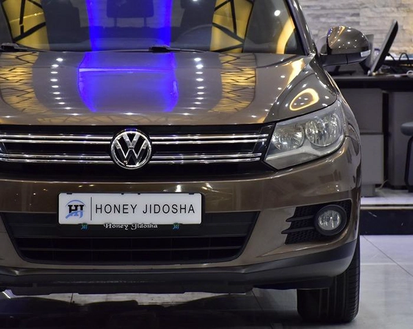 Volkswagen Tiguan ( 2015 Model ) in Brown Color GCC Specs