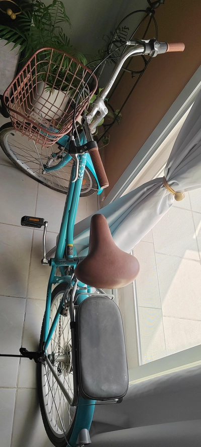 Bicycle-0