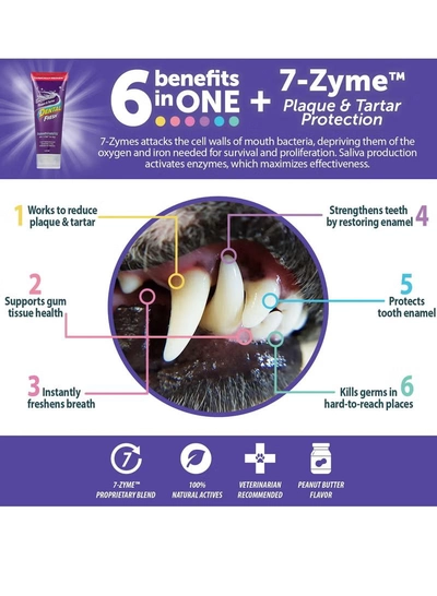 SynergyLabs Dental Fresh Enzymatic Plaque & Tartar Dental Gel with Triflex Brush 2.5 oz - 70.87 g-2