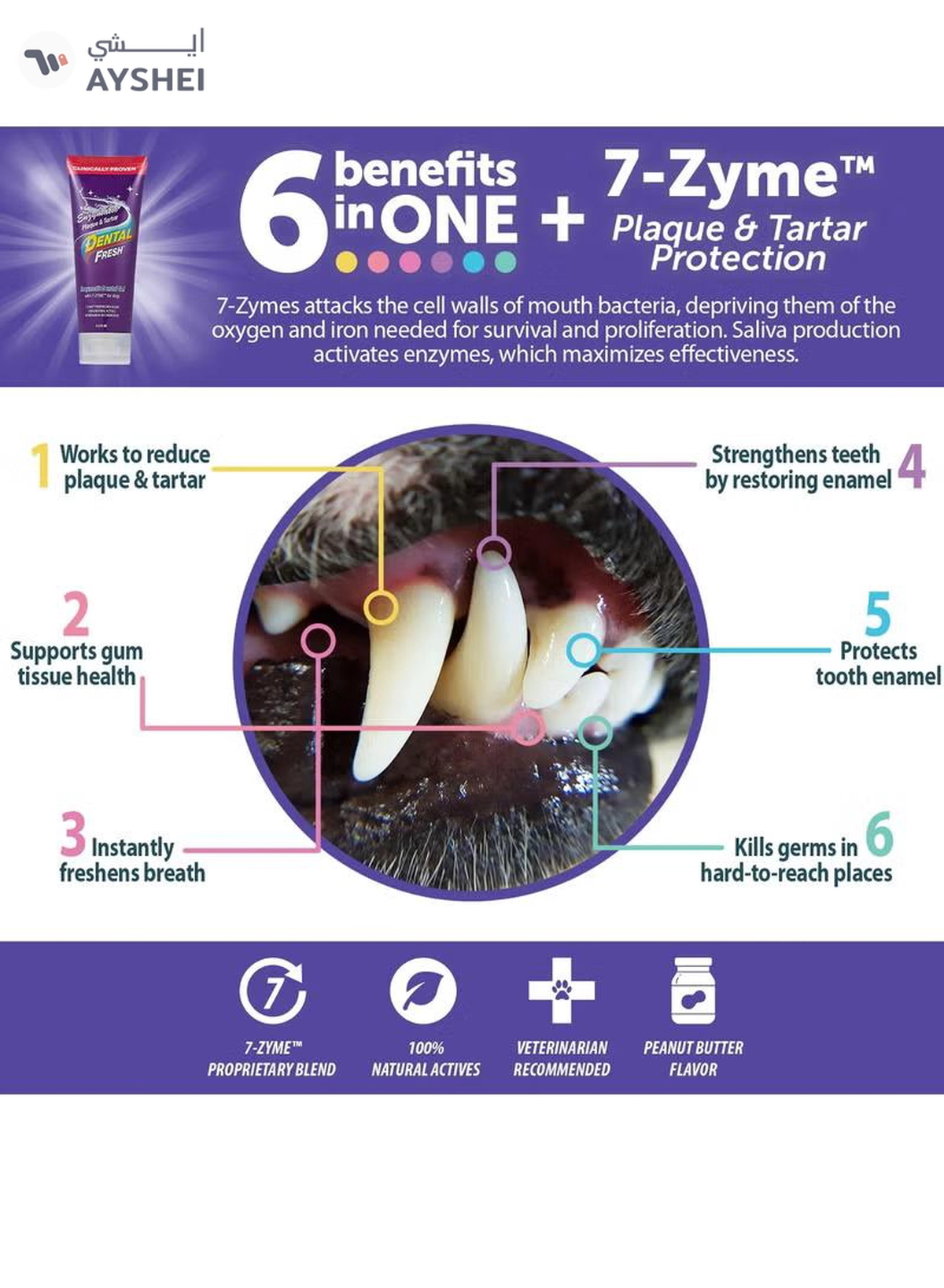 SynergyLabs Dental Fresh Enzymatic Plaque & Tartar Dental Gel with Triflex Brush 2.5 oz - 70.87 g-2-2