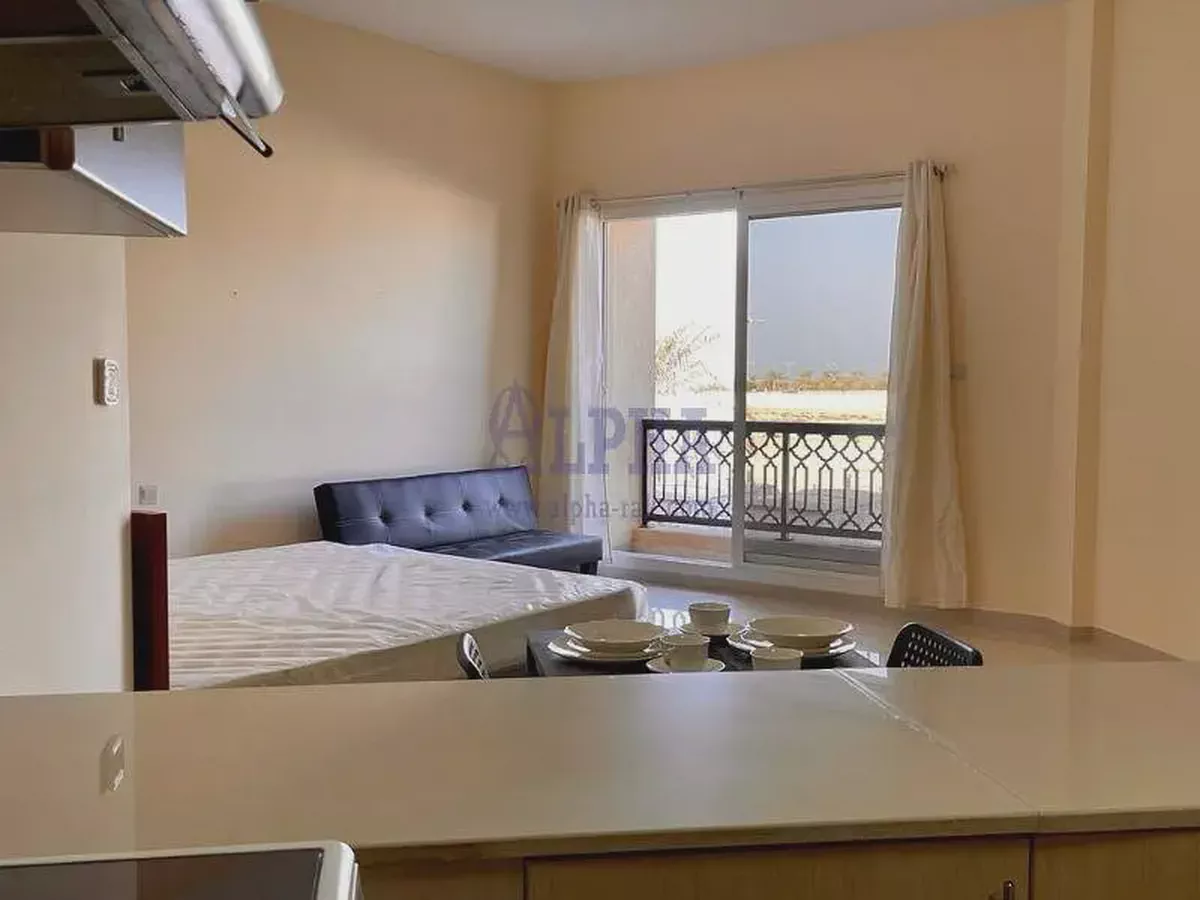 Large Furnished-Studio Partial Sea View-2-2