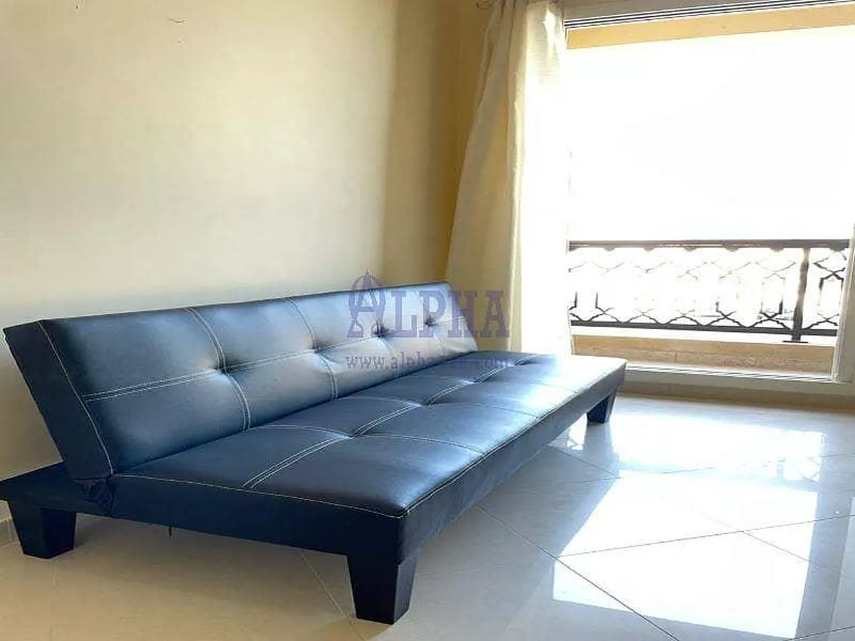 Large Furnished-Studio Partial Sea View-3-3