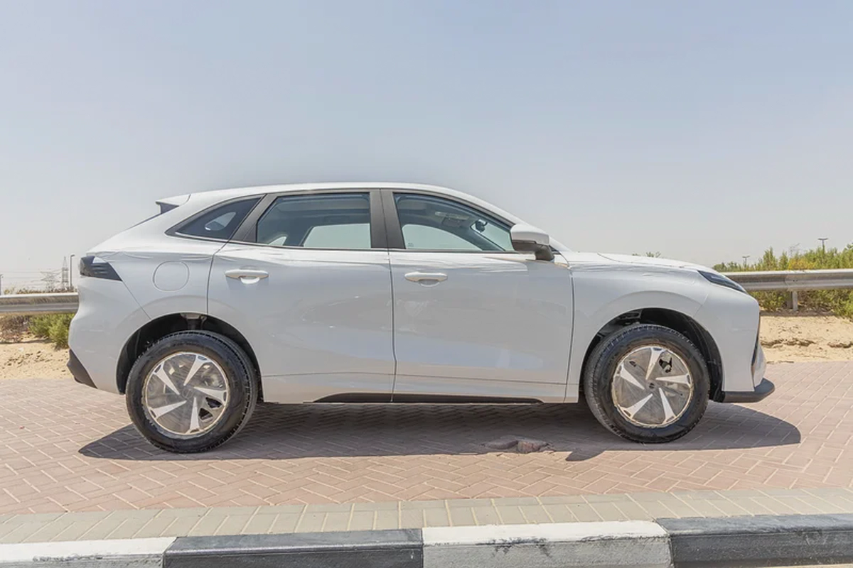 Dong Feng Forthing Friday - Electric - 410km - 2025 (Export)-6-6