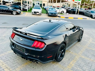 2023 Ford Mustang Ecoboost Premium FastBack - # 01210-11