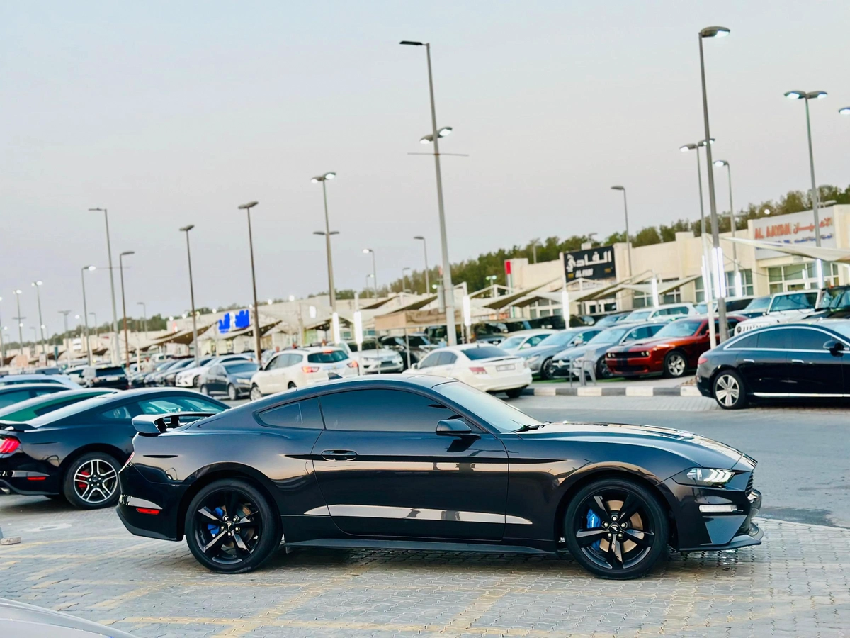 2023 Ford Mustang Ecoboost Premium FastBack - # 01210-5-5