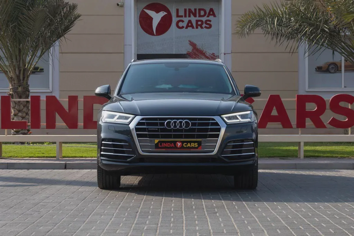Audi Q5 2019-3-3