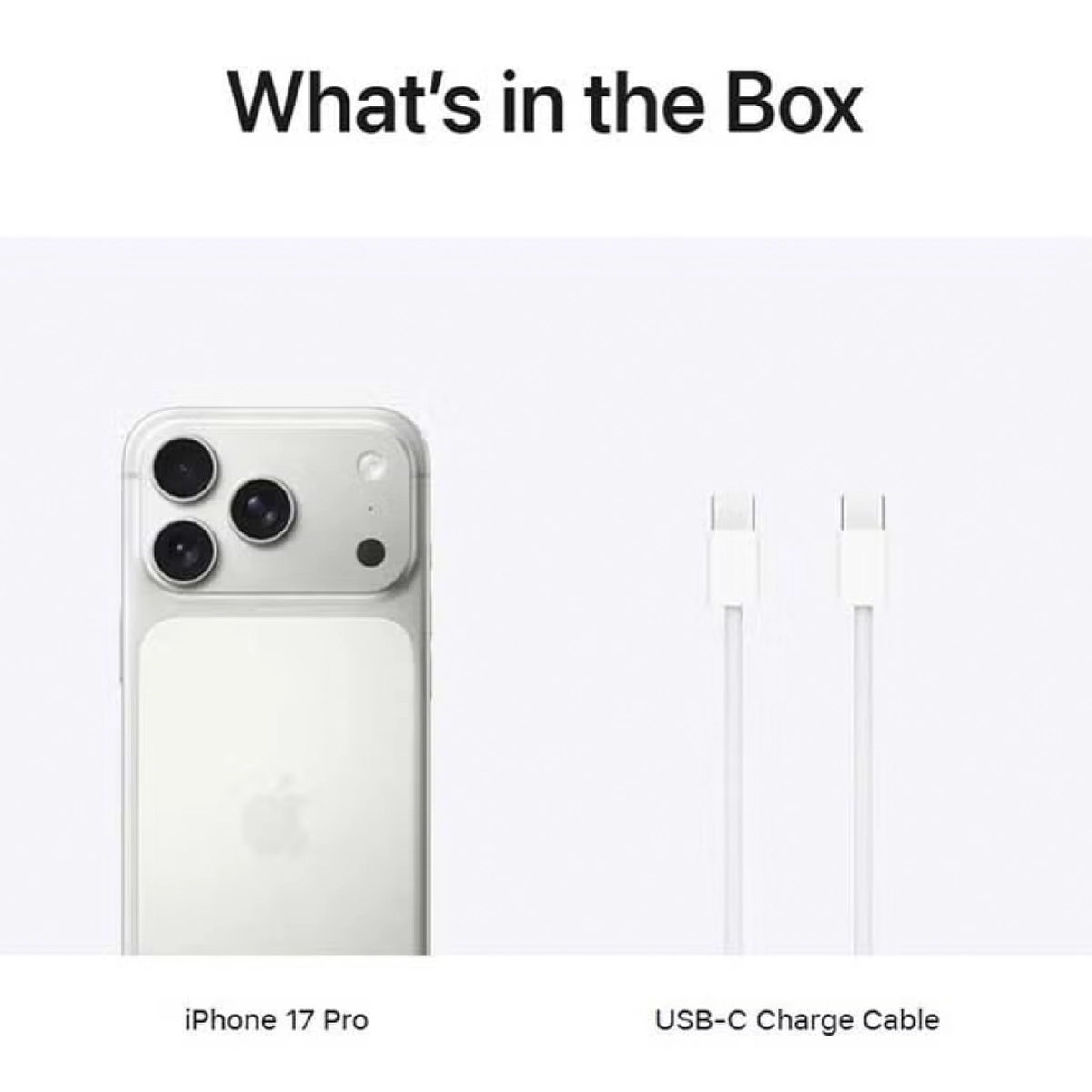 Apple iPhone 17 Pro 256 GB (eSIM only) Silver 5G With FaceTime - International Version-2-2