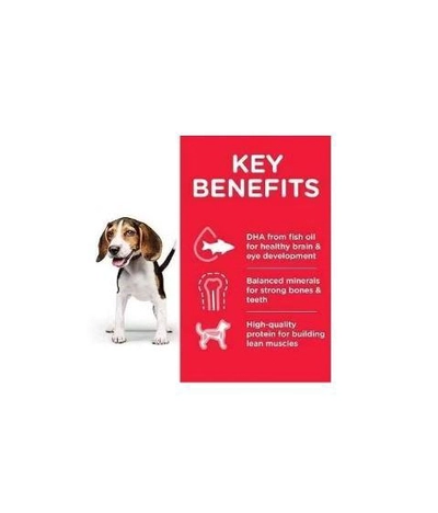 Hills Puppy Medium - Dry Food For Puppies With Chicken 2.5 Kg-2