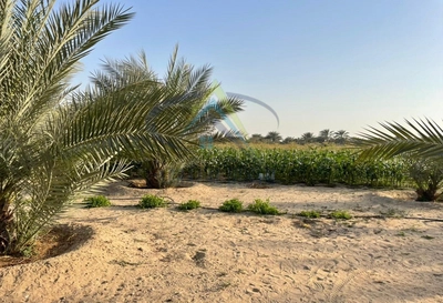 FARM FOR SALE IN AL KHABISI-0