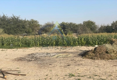 FARM FOR SALE IN AL KHABISI-4