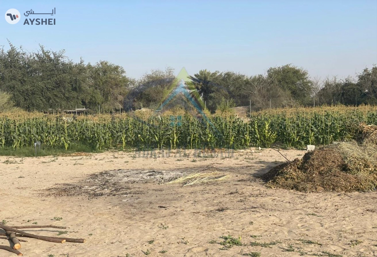 FARM FOR SALE IN AL KHABISI-4-4