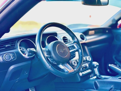 2019 Ford Mustang GT - # 77996-3