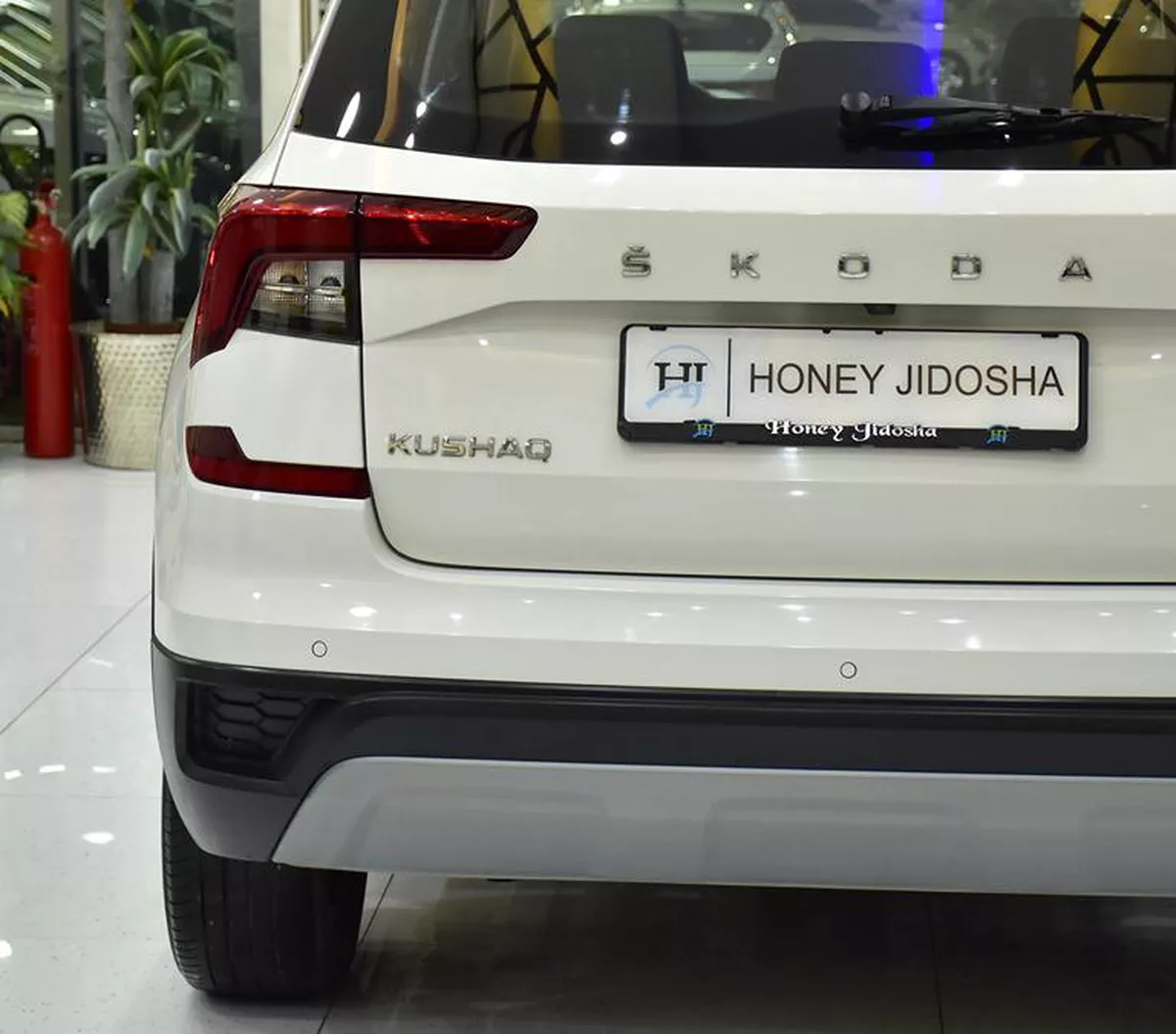 Skoda Kushaq ( 2023 Model ) in White Col...-2-2