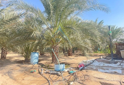 FARM FOR SALE IN AL AJBAN-4