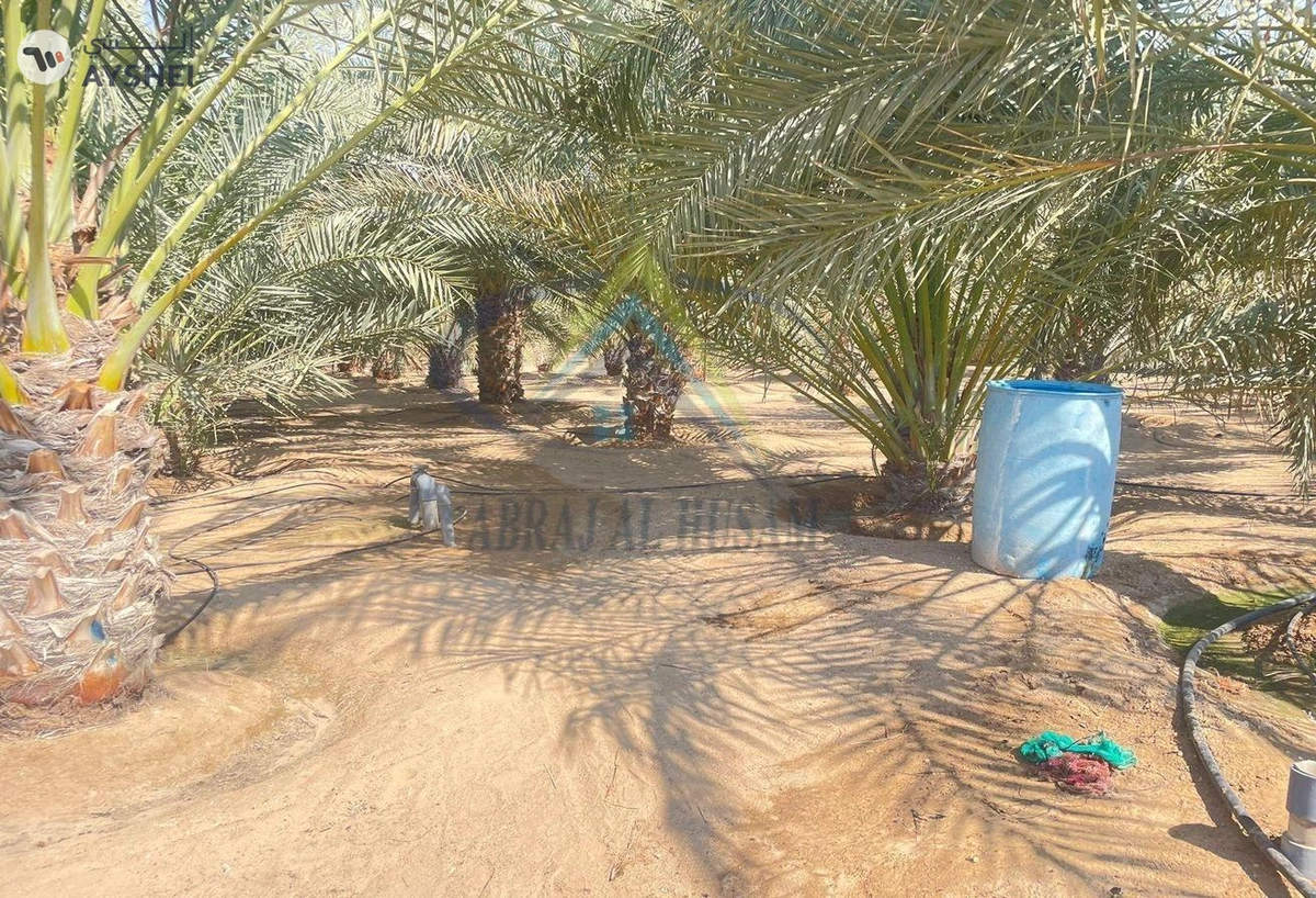 FARM FOR SALE IN AL AJBAN-1-1