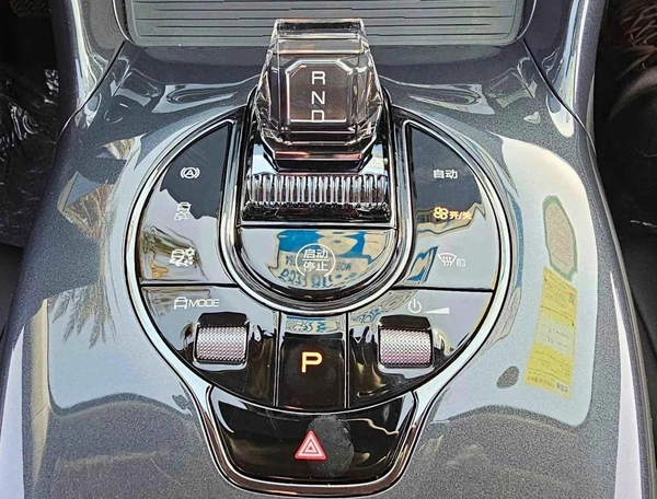 BYD e2 ELECTRIC LUXURY | 405KM RANGE (CODE # 68028)