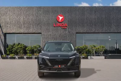 Dongfeng (DFM) Mage 2025-0