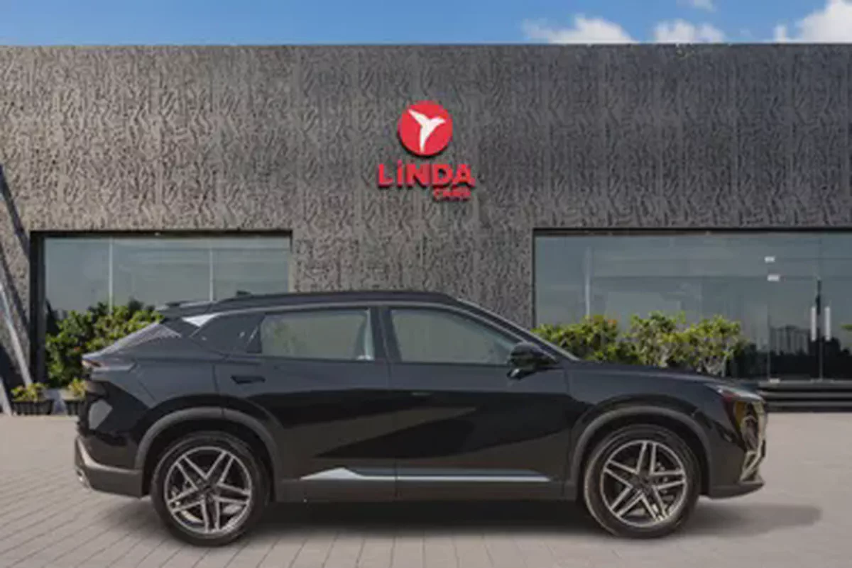 Dongfeng (DFM) Mage 2025-14-14