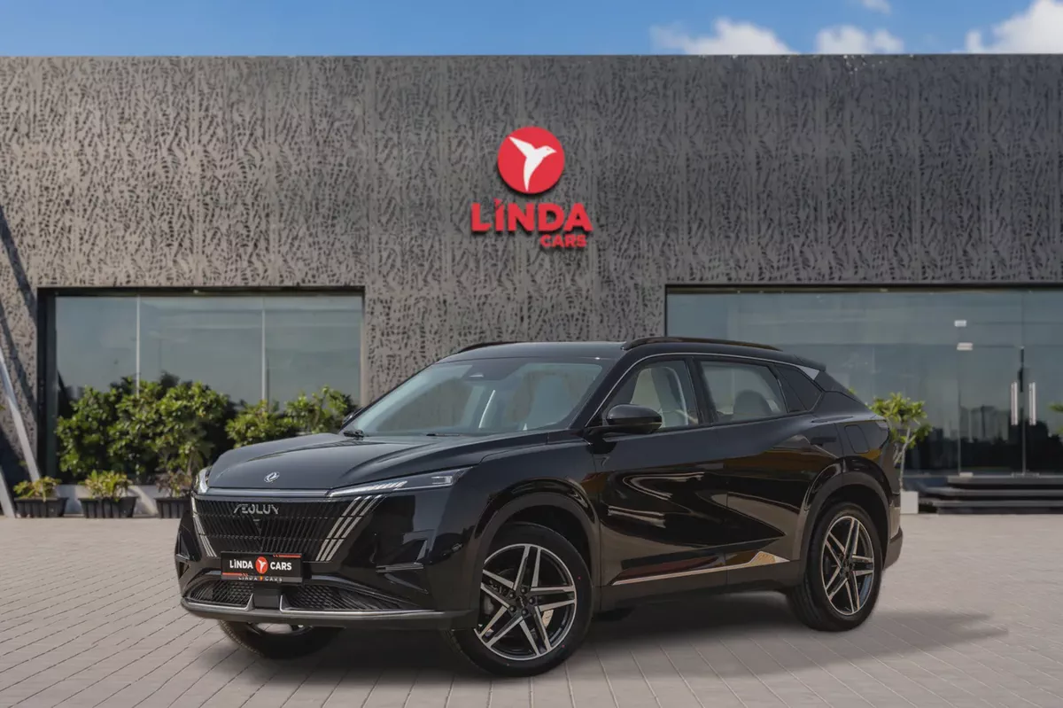 Dongfeng (DFM) Mage 2025-19-19