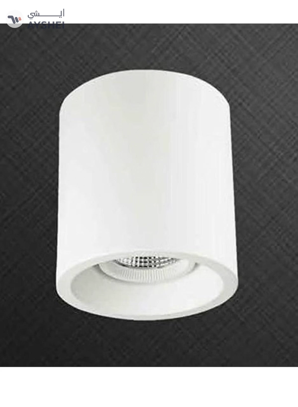 Yuwell Zal Luminer Led Surface Down Light 30W 4K Day Light C3 ZL1600 For Shopping Mall Stall Showroom Kitchen And Restaurant