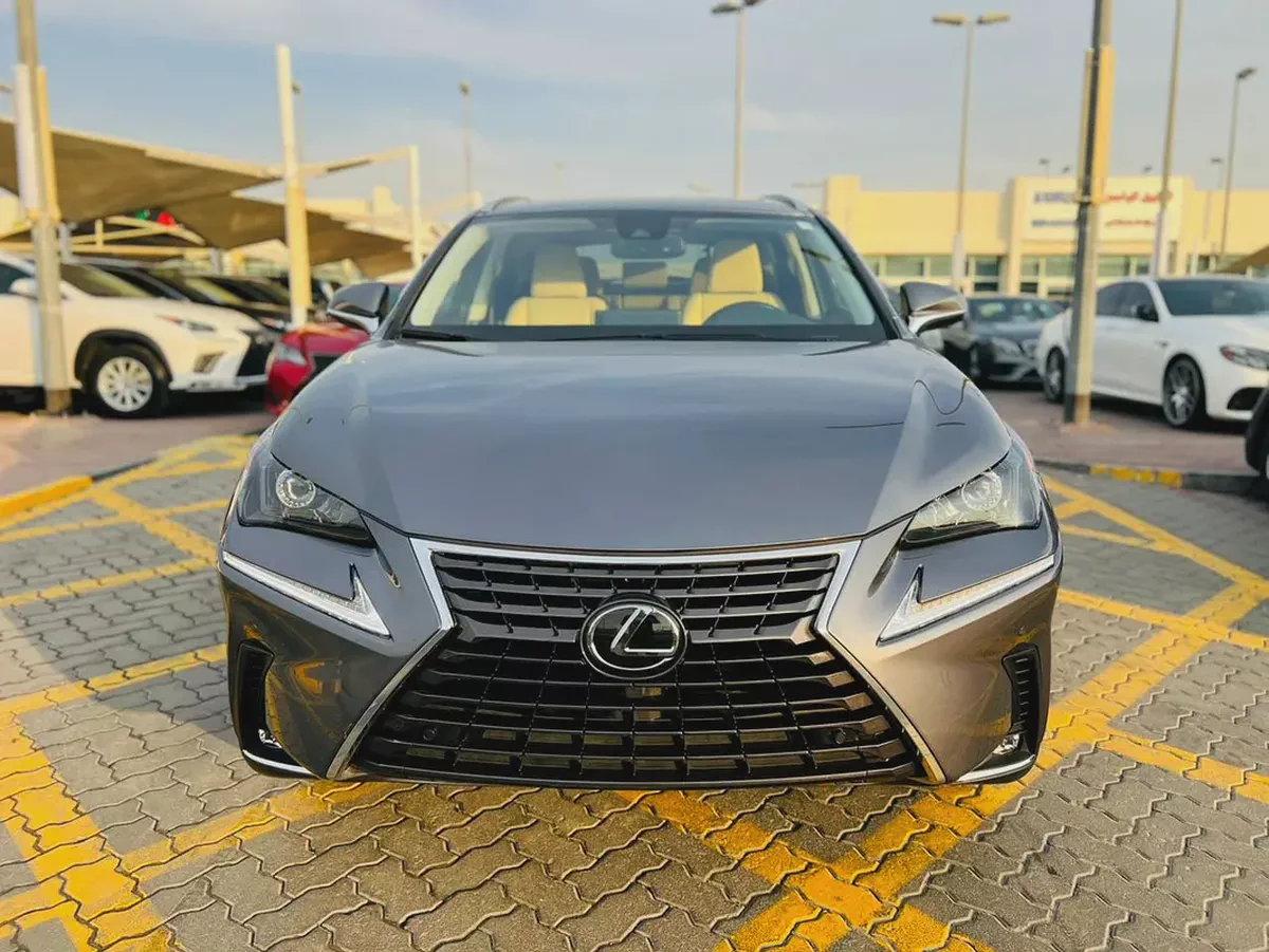NX 300