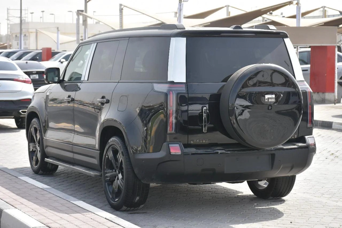 ROX 01 SEVEN SEATS PHEV 2025 | BLACK-18-18