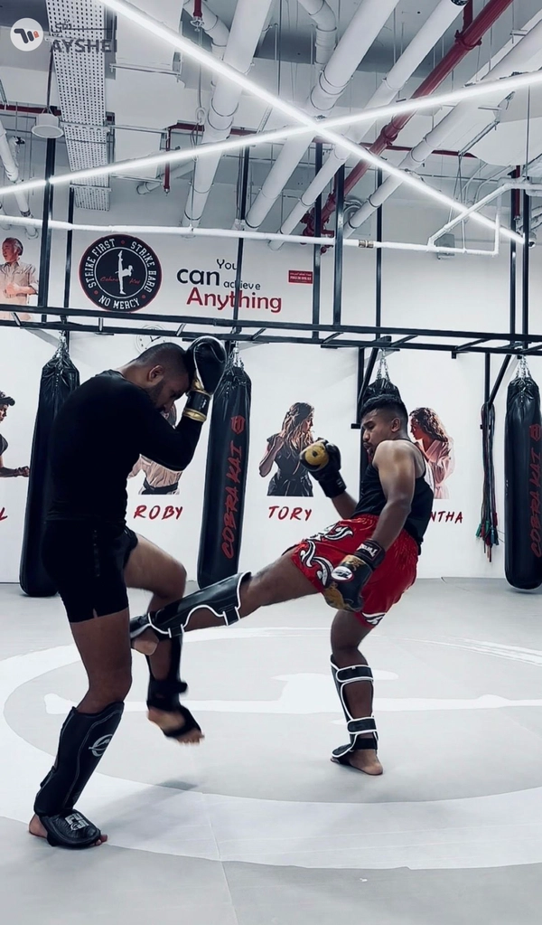 Elite Boxing and Kickboxing training