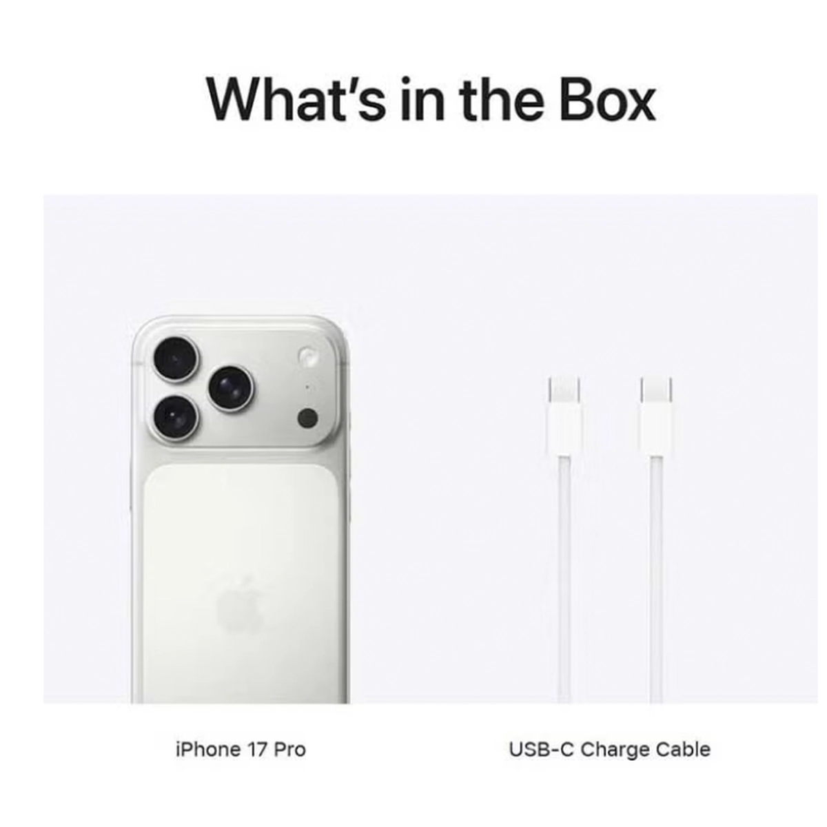Apple iPhone 17 Pro 256 GB Silver 5G (eSim only) With FaceTime - International Version-2-2