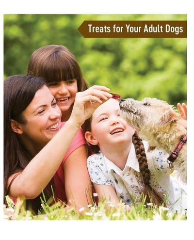 Dog Fest Slices With Venison For Adult Dogs 90g-1