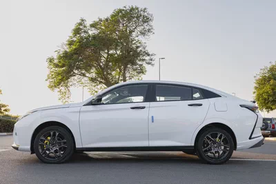 DONGFENG | SHINE | E3 | 2025 (Export)-6