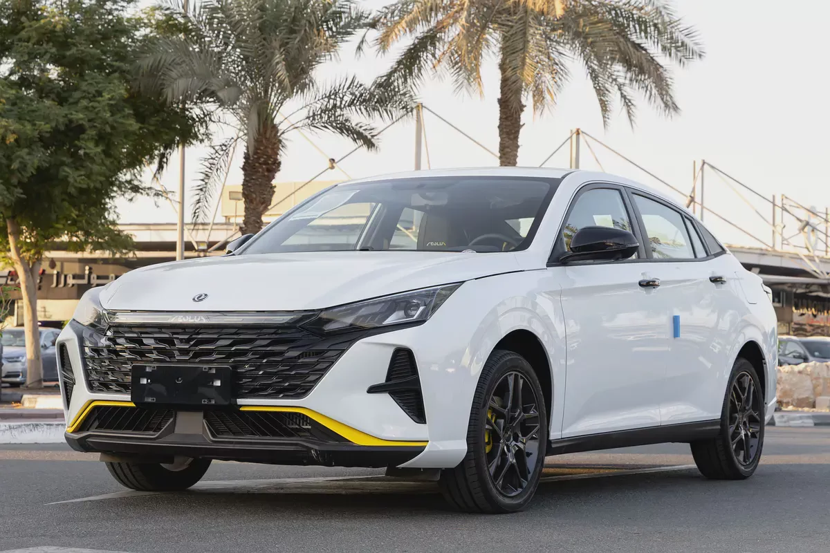 DONGFENG | SHINE | E3 | 2025 (Export)-2-2