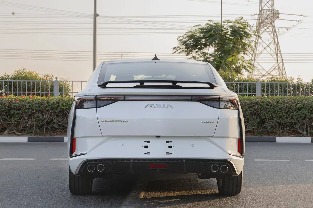 DONGFENG | SHINE | E3 | 2025 (Export)-4-4