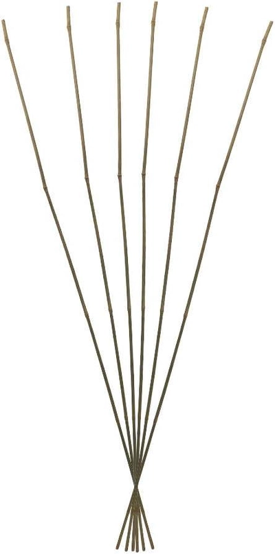 YATAI Pack of 5 Natural Thick Bamboo Stakes 5.9 Feet Tall Garden Plant -0