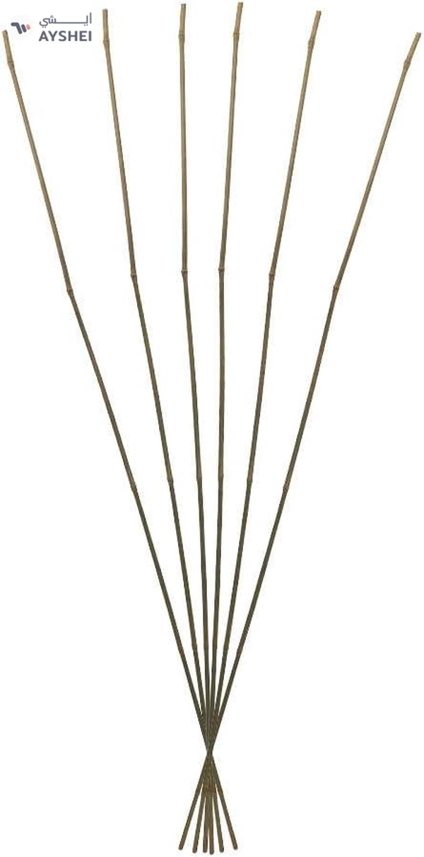 YATAI Pack of 5 Natural Thick Bamboo Stakes 5.9 Feet Tall Garden Plant 