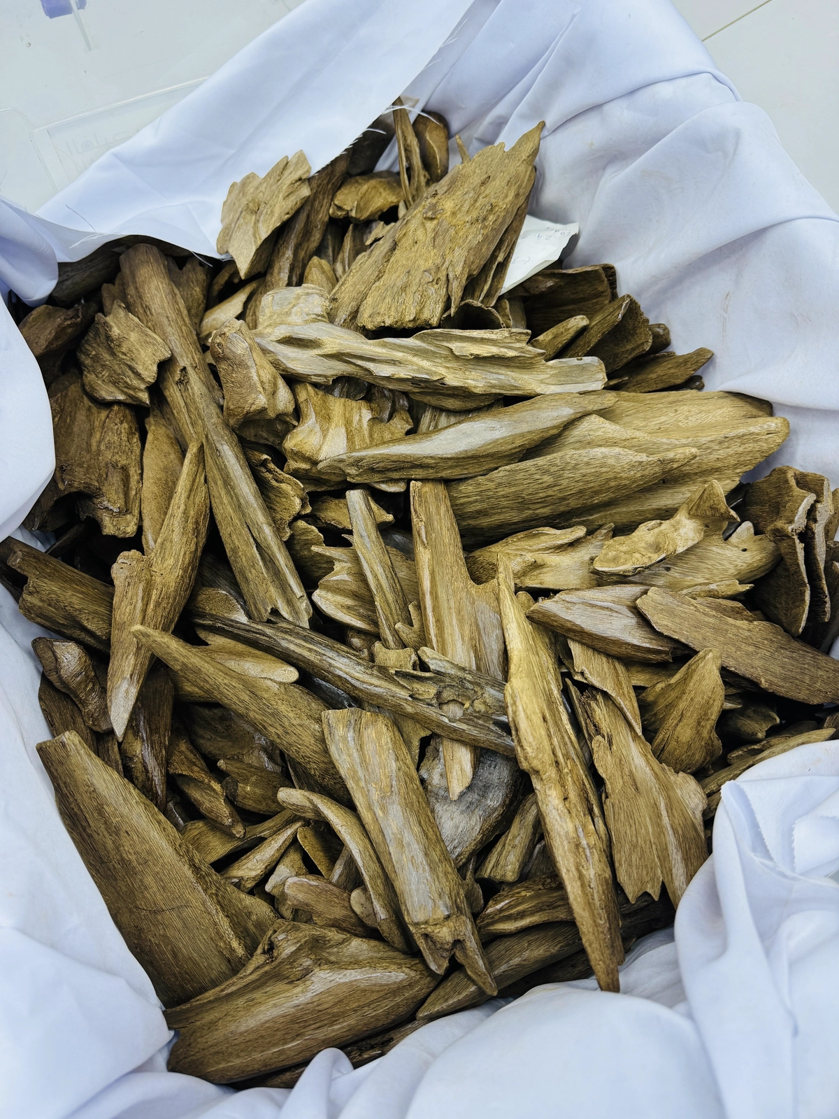 Agarwood