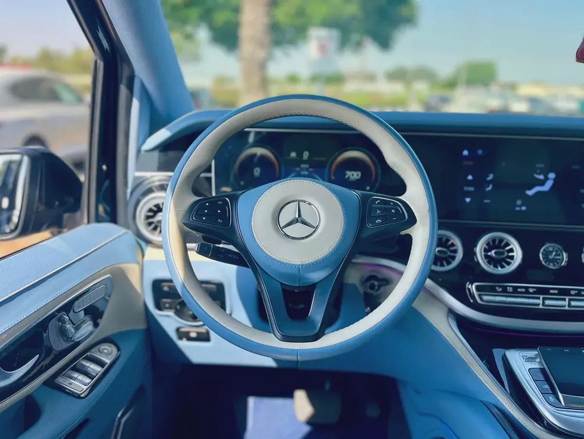 2024 Mercedes  Vip Seats-7-7