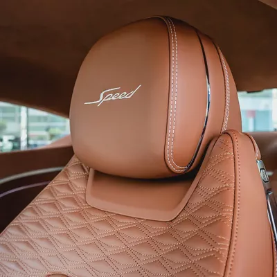 Bentley Continental GT Speed FIRST EDITION 2025 DONE ONLY 12,000KM-13