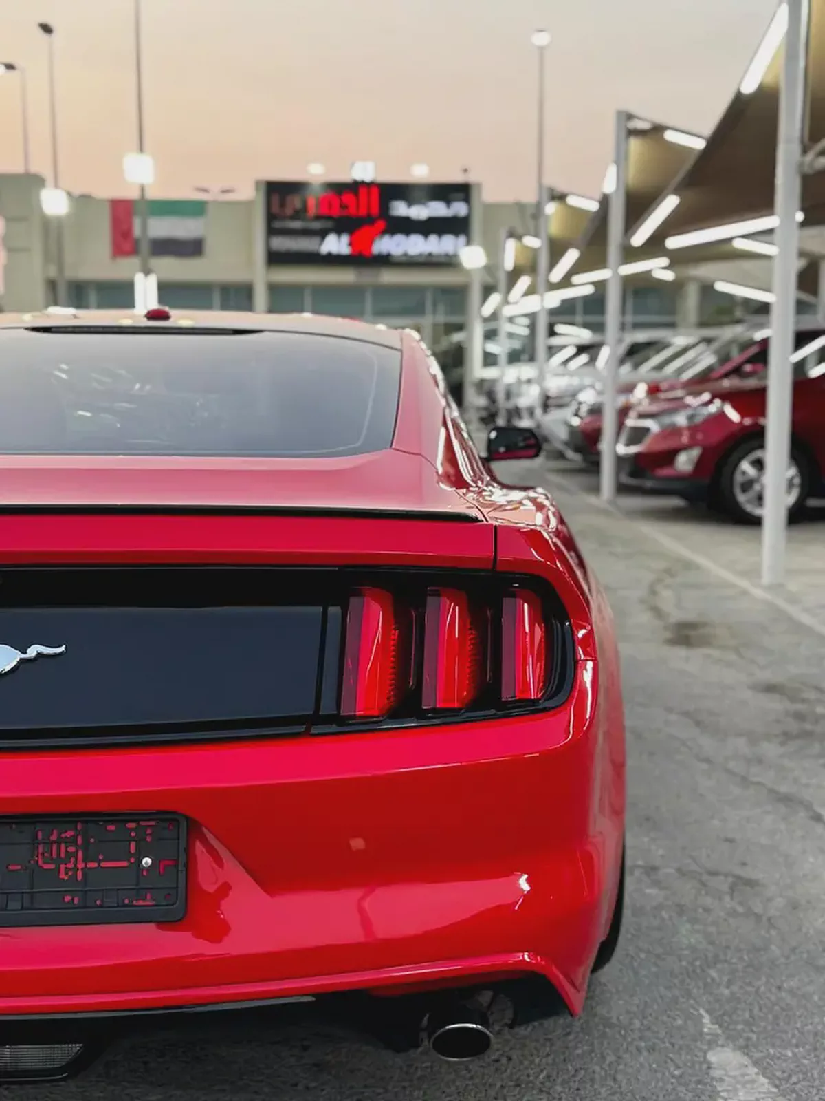 (2017 ) FORD//MUSTANG V 4 TWIN TURBO// GOOD CONDITION //USA// ECOPOOST //-7-7
