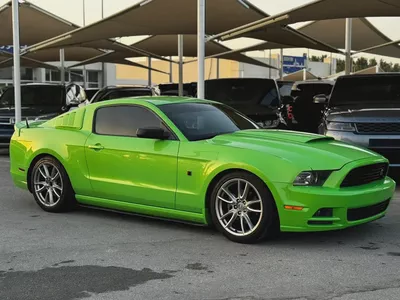 (2014 ) FORD//MUSTANG 6 CYLINDER//GCC// CONVERTED TO ORIGINAL ROACH FROM AL TAYER// GOOD CONDITION//-1