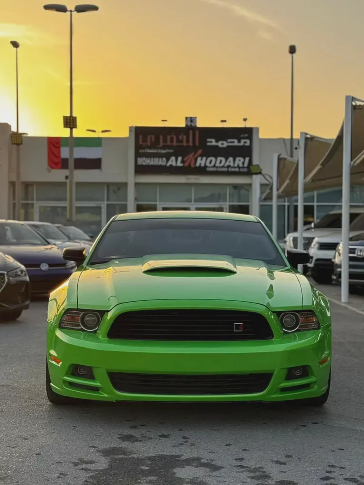 (2014 ) FORD//MUSTANG 6 CYLINDER//GCC// CONVERTED TO ORIGINAL ROACH FROM AL TAYER// GOOD CONDITION//-4-4
