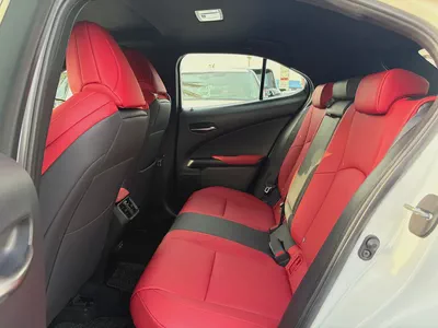 2024 Lexus UX300h F Sport - GCC Specs - Brand New-8